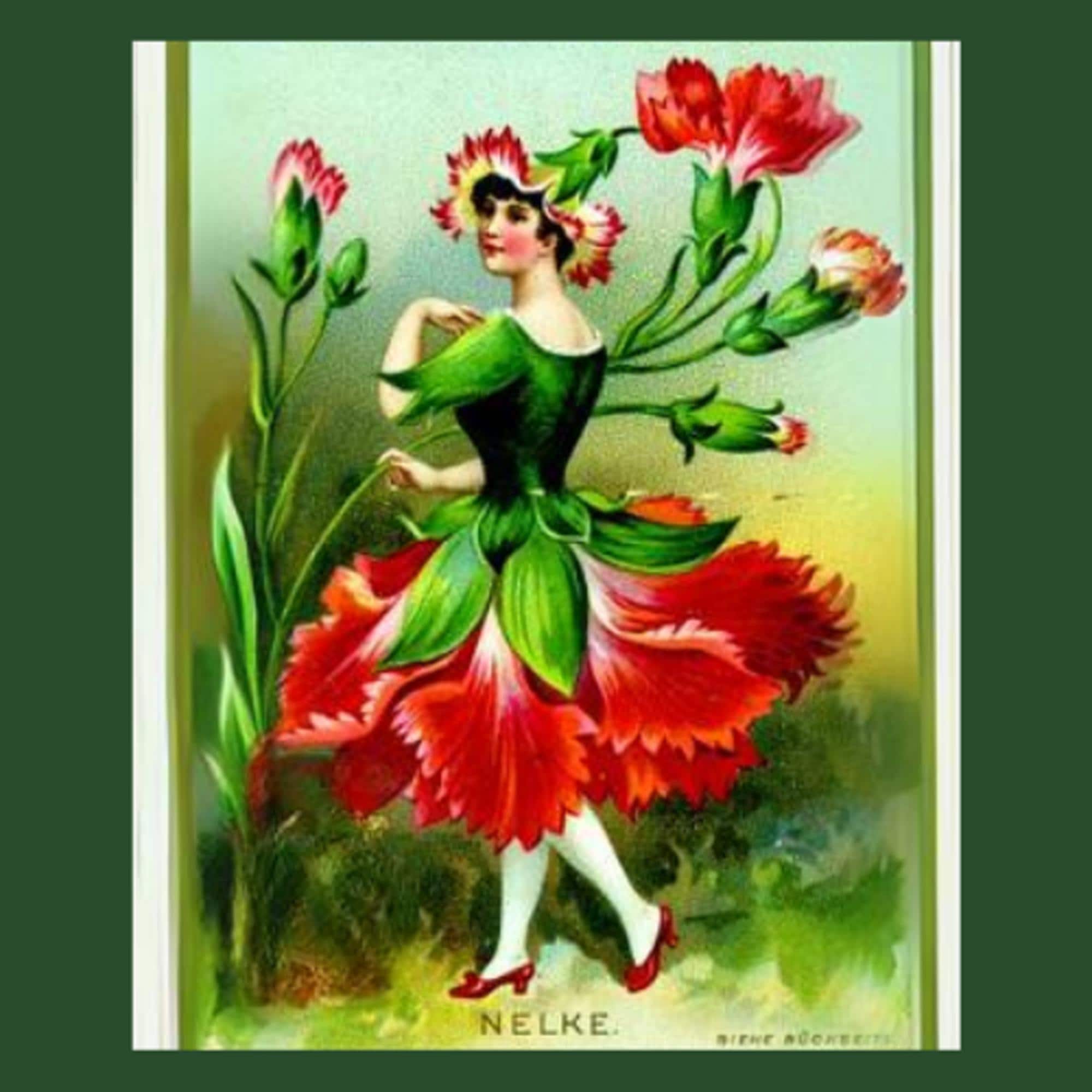 Carnation Perfumes - Etsy