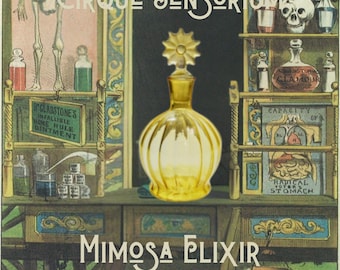 Mimosa Elixir Perfume -  Mimosa, Mandarin Orange, Lavender, Sandalwood, Tonka Bean, Amber, Patchouli