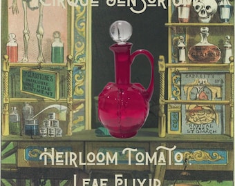 Heirloom Tomato Leaf Elixir Perfume -  Tomato Leaf, Lavender, Tree Moss, Sandalwood, Tonka Bean, Amber, Patchouli