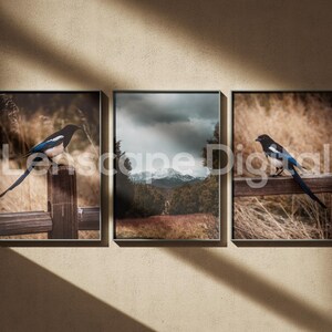 Blue Birds in the Mountains - Digital File Download