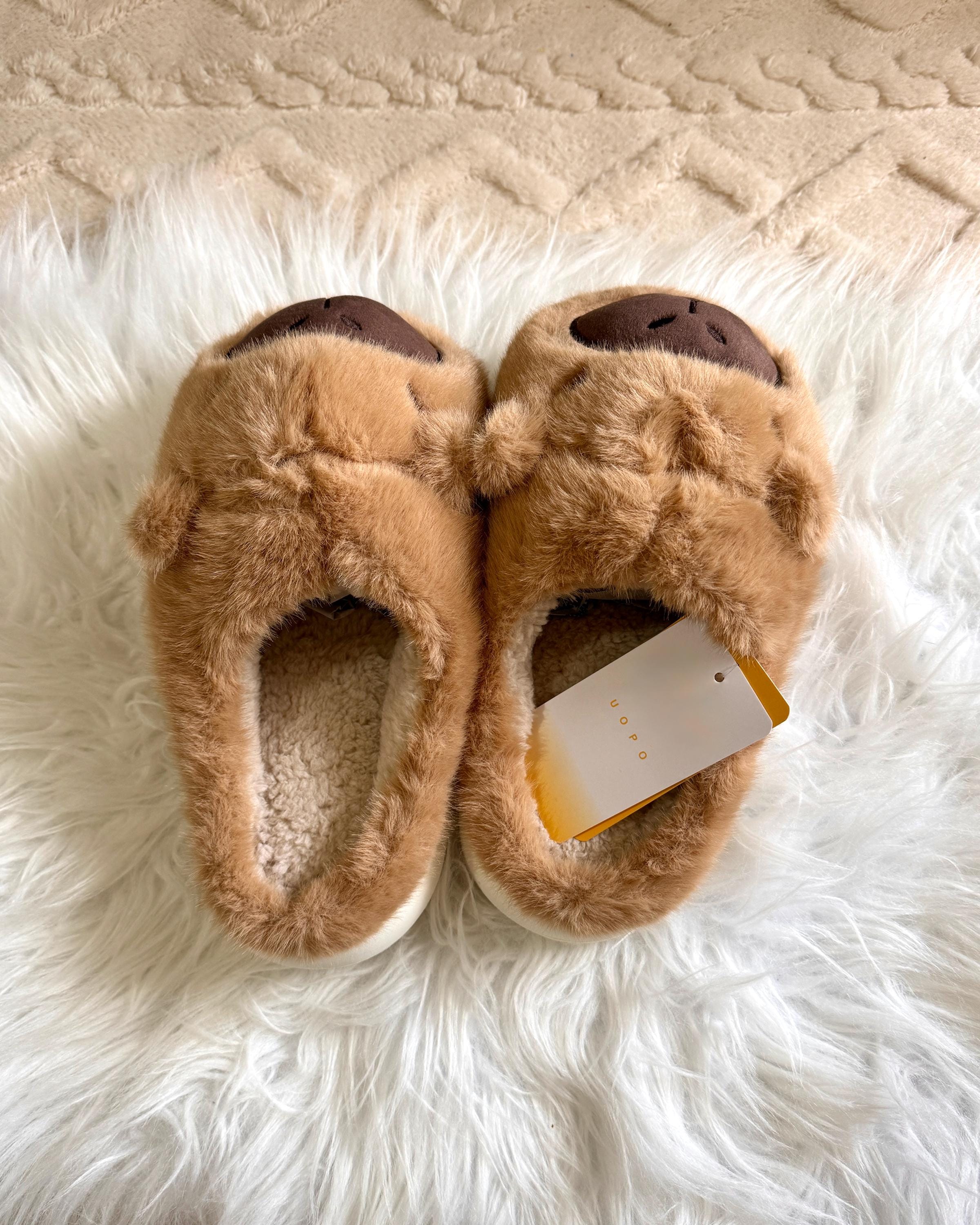 Capybara Capybara Pantoffels Pluche Binnensloffen Schattige - Main Image