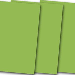 Estoque de cartão de desconto Smooth Grandma Smith Apple Green - 20 folhas