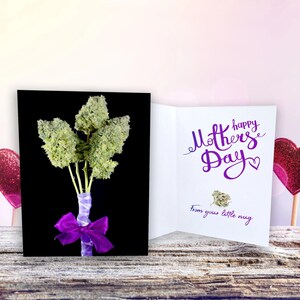 Stoner Mother&#39;s Day Card &quot;From Your Little Nug&quot; - Happy Mother&#39;s Day Card