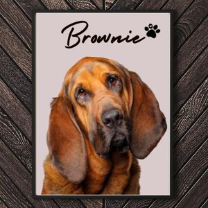 Retratos de Animais de Estimação, Cães, Gatos, Arte Digital de Animal, Cães, Retrato Personalizado, Presentes de Aniversário, Presente Digit