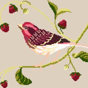 May include: A pixel art illustration of a bird with a deep pink head and dark brown wings perched on a vine. The vine features green leaves, small white flowers, and several red strawberries against a solid light beige background.