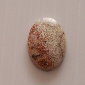 Puede incluir: Cabujón ovalado de ágata blanca con patrones dendríticos marrones y blancos. La piedra tiene una superficie lisa y pulida.