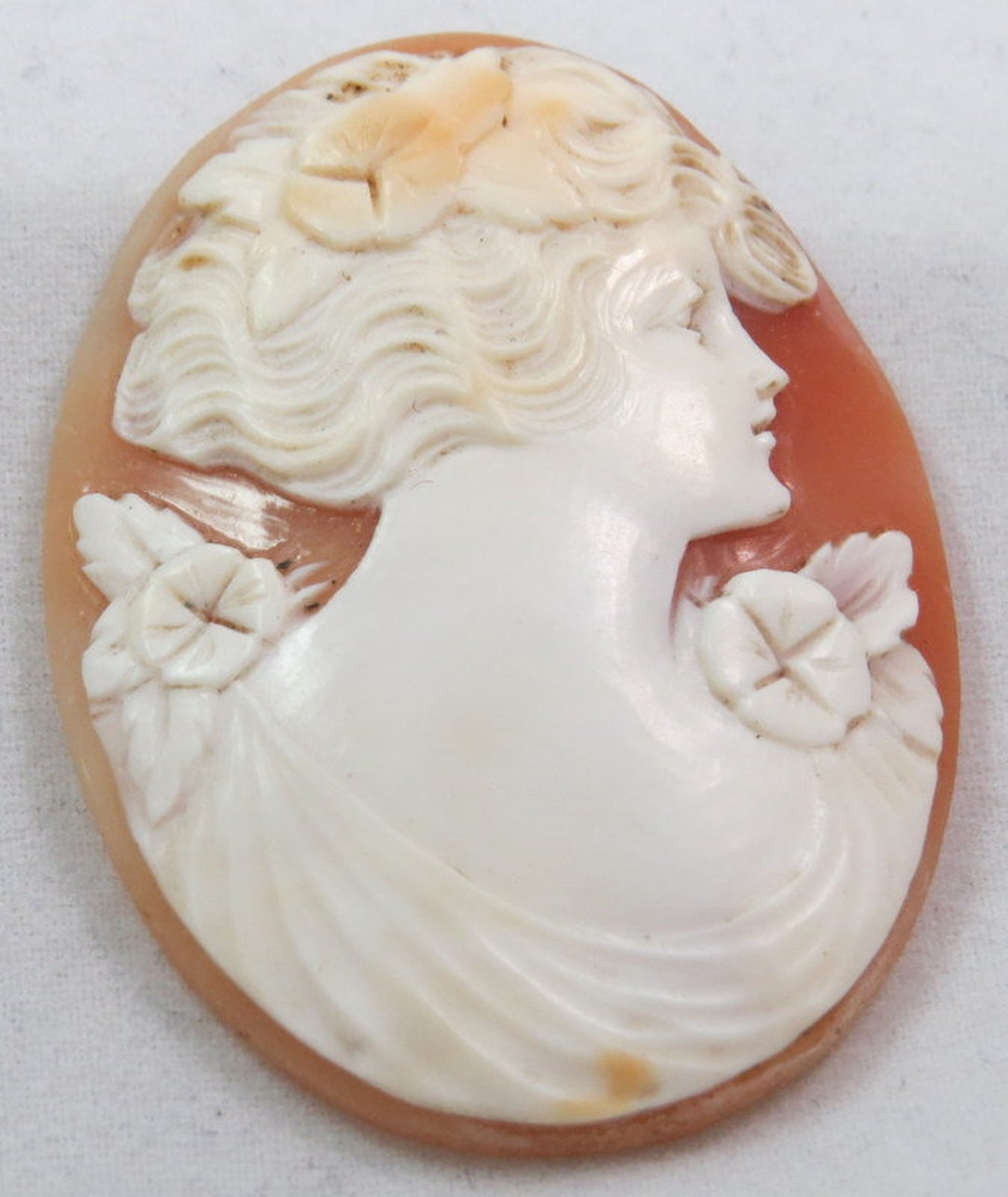 カメオ シェル 盛り上がった 1.5 x 1 インチ 右向きポートレート