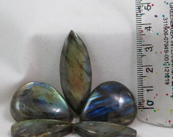 5 Loose Natural Labradorite Freeform Cut Cabochon Gemstones