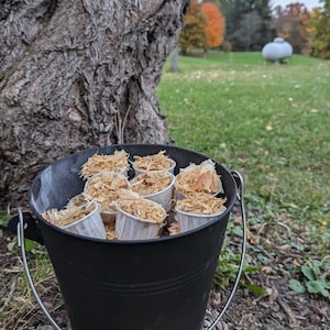 Encendedores naturales / Pino y cera de abeja, larga duración / Paquete de 30