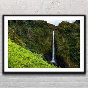 Tropical Waterfall | ‘Akaka Falls | Hawaii | Rain Forest | Nature | Landscape Photo Print | Photography | Fine Art Print | Decor