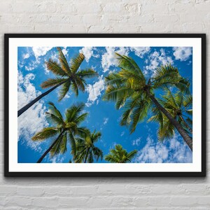Abstract Palm Trees - Summer - Beach - Tropical - Palm Tree