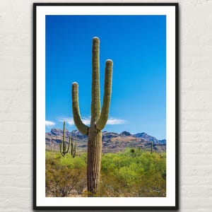 Saguaro Cactus Sunset Photo Print: Arizona Desert Landscape