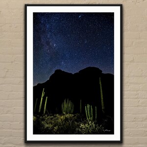 アリゾナ砂漠の夜空、オルガンパイプ、サボテンの写真アートプリント