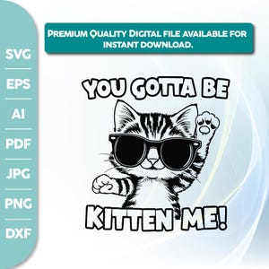 Funny Cat SVG,You Gotta Be Kitten Me Svg,Cat Lover,Funny Cat Mom PNG,Dtf Transfers,Cute Cat Dtf,Cool Cat Png,cat svg,cricut file,