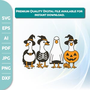 Halloween Goose Png, Witch Goose PNG, Fall Shirt Png,Boo Ghost Goose Png,Skeleton Goose, Sublimation Design, Pumpkin Goose,Pumpkin Goose svg