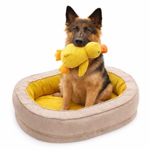 anti-angst hundebett Anti-Angst-Tiefschlaf-Hundebett mit Schwammunterstützung