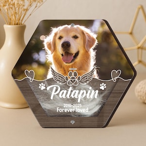 Custom Dog Hair Memorial Storage Box, Loss Of Dog Acrylic Box Pet Portrait Picture, Cat Fur Keepsake, Pet Tooth Memorial Gift, Pet Memorial