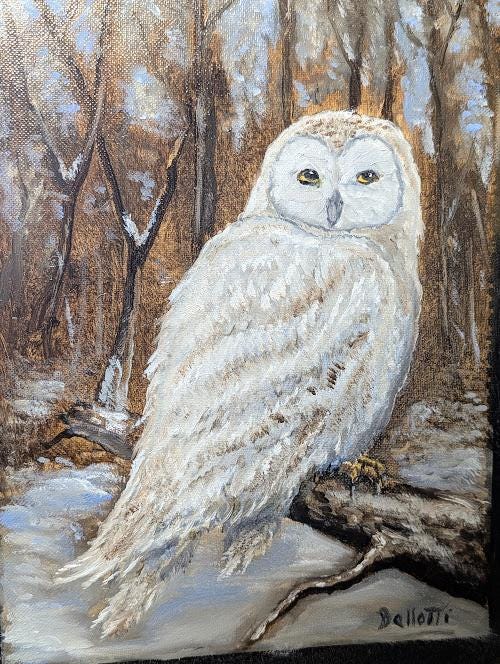 Snow Owl Painting 11x14 Original Oil on Canvas