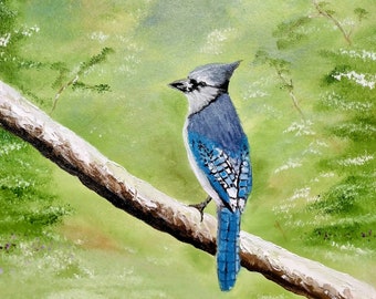 Blue jay oil painting 12"×12"