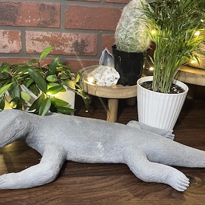 Cement Lizard