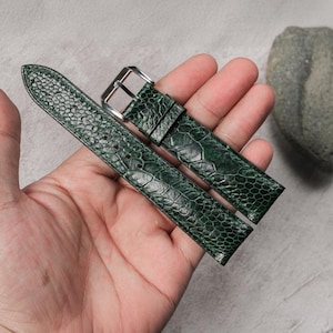 Puede incluir: Una correa de reloj verde oscuro con un patrón texturizado y una hebilla plateada. La correa está hecha de un material que se asemeja a la piel de reptil. La correa del reloj se muestra sobre un fondo neutro.