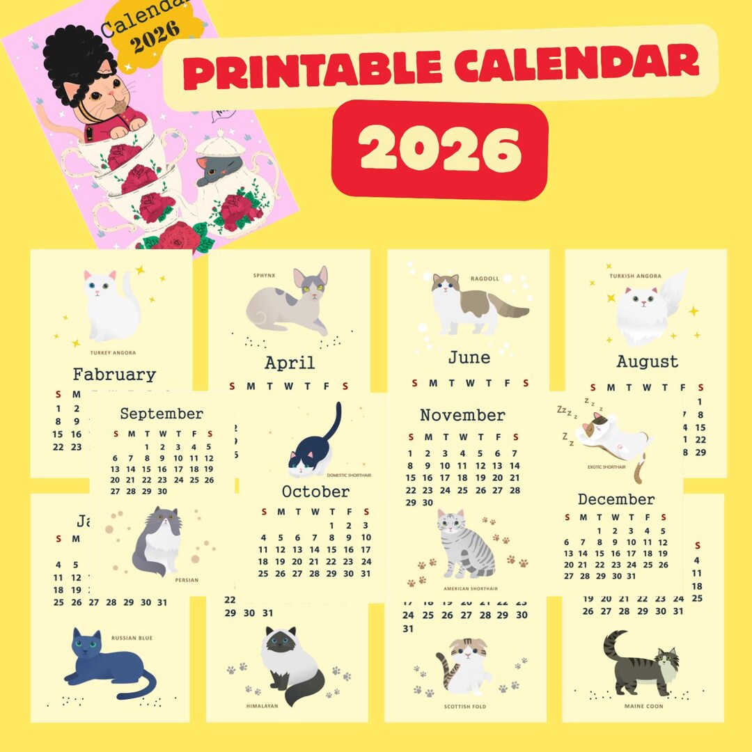 2026 Cat Calendar Printable – Kawaii Monthly Planner - Etsy