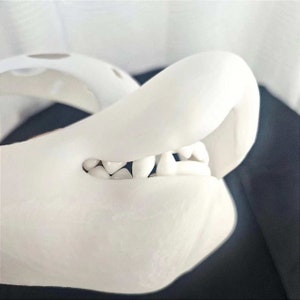 Fursuit tanden-3D print hoektanden voor kemono fursuit, fursuit accessoires, hars kemonon accessoires, ronde hoektanden, cadeau voor harige