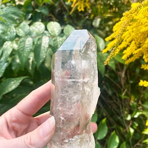 Puede incluir: Una punta de cristal de cuarzo transparente con una textura natural y rugosa. El cristal mide aproximadamente 12,5 cm de alto y tiene una punta puntiaguda. El cristal se sostiene en una mano contra un fondo de follaje verde.
