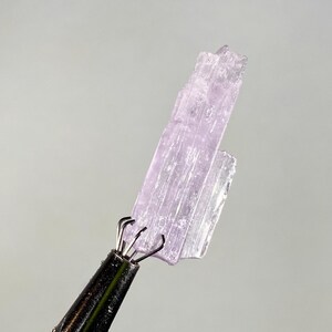 Op de afbeelding: Een lichtpaars kristal specimen vastgehouden door een metalen gereedschap. Het kristal heeft een doorschijnend uiterlijk met zichtbare interne structuren. De achtergrond is effen lichtgrijs. Het kristal is het belangrijkste object in de afbeelding.