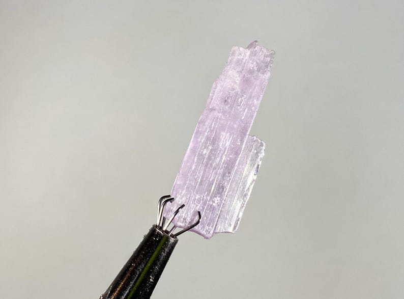 Op de afbeelding: Een lichtpaars kristal specimen vastgehouden door een metalen gereedschap. Het kristal heeft een doorschijnend uiterlijk met zichtbare interne structuren. De achtergrond is effen lichtgrijs. Het kristal is het belangrijkste object in de afbeelding.