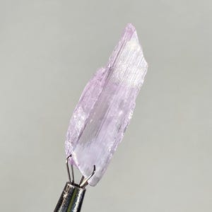 Op de afbeelding: Een lichtpaars, kristallijn mineraal specimen, vastgehouden door een metalen gereedschap. Het mineraal heeft een ruw, getextureerd oppervlak en een doorschijnend uiterlijk. De achtergrond is effen lichtgrijs.
