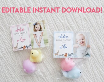 Wild About You Photo Personalized Candy Animal Printable Valentines - Instant Download - Edit on your own!