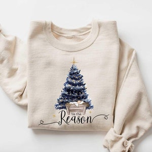 Nativity Scene Sweater, Christian Christmas Sweatshirt, Christmas Nativity Shirt, True Story Nativity, Religious Christmas Gifts, Jesus Tee