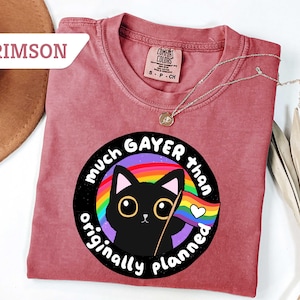 May include: Crimson t-shirt with a circular graphic of a black cat holding a rainbow flag. The text on the graphic reads "much gayer than originally planned." A silver necklace with a pendant is draped on the shirt.