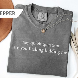 Comfort Colors® Hey Quick Question Are You Kidding Me Shirt, Funny Humor Shirt, Funny Girls Shirt, Sarcasm Shirt, Trendy Shirt for Women