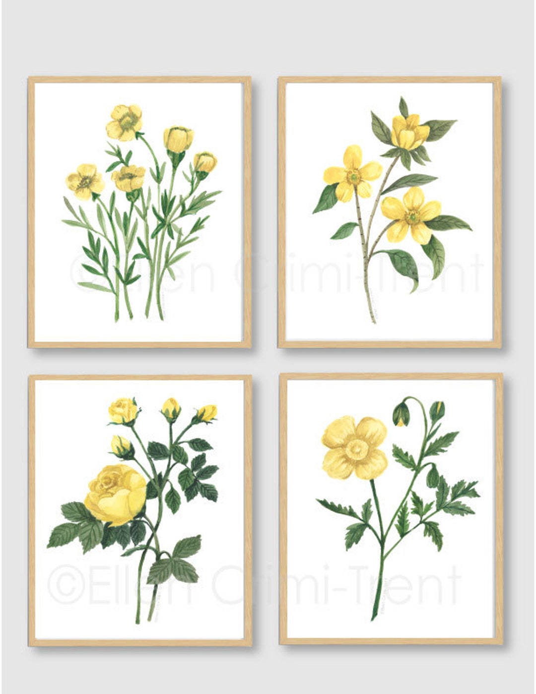 Yellow Botanical Watercolor Print Set, Flower Wall Art, Botanical Print ...