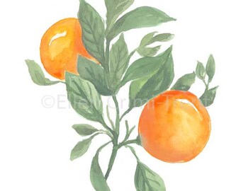 Watercolor oranges wall art/ oranges botanical art/ botanical decor/ fruit wall art/ kitchen decor/ watercolor fruit