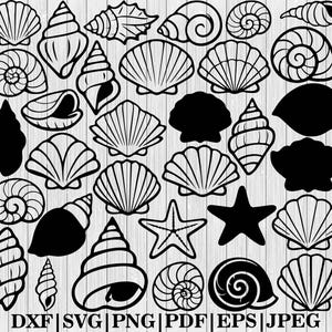 May include: Black and white line art of various seashells, starfish, and spiral shells. The image includes different shell shapes and sizes, perfect for beach-themed crafts or designs. The image also includes the text: DXF | SVG | PNG | PDF | EPS | JPEG.