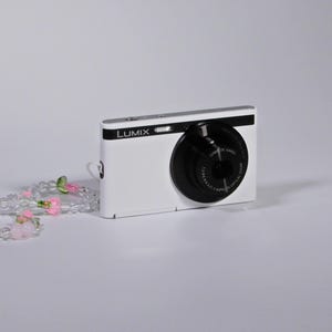 Puede incluir: Una cámara digital Lumix blanca con una lente negra y una pulsera de cuentas con cuentas rosas y transparentes. La cámara tiene el logotipo de Lumix.