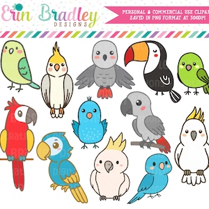 Clipart di uccelli carini, grafica di clip art di pappagalli, cacatua, ara, calopsitta, parrocchetto e tucano, clipart di uccelli tropicali, uso commerciale