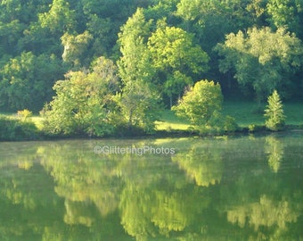 Tennessee River Photo, Chattanooga TN, Water Photograph, Tree Photograph, Nature Photo Print, 8x10 Print, Unframed, Free shipping