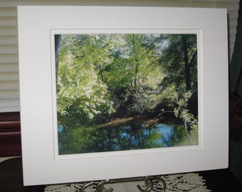 Wet Beaver Creek, Arizona Art, Montezuma Well, Woodland Photograph, Nature Print, 8x10 Photo, Brown Glitter, White Glitter, Matted, OOAK
