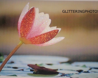 Water Lily Photo, Fine Art Photography, Nature Print, Flower Photography, Water Photography, 8x10 Photo Print, Glitter, OOAK, Free Shipping