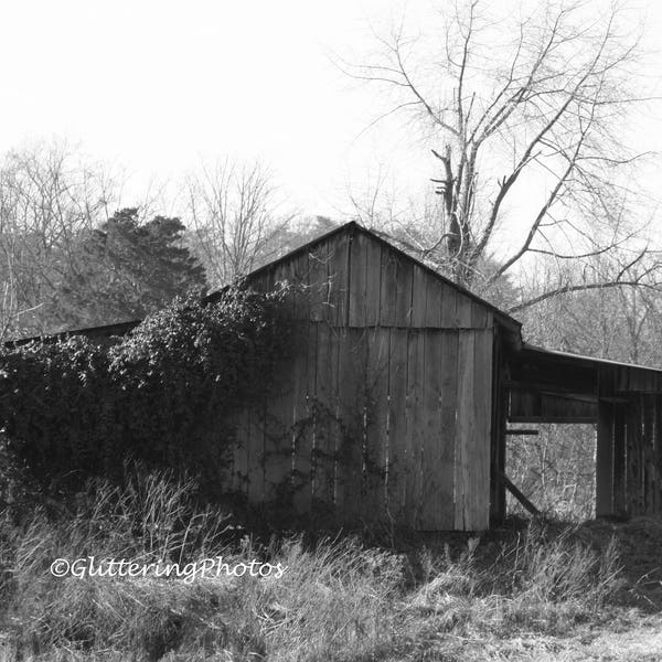 Barn Photography, Rural Photograph, Farmland Photography, Henryville IN, Americana, Indiana Art, 8 x 10 Print, Unframed Photo, Free Shipping