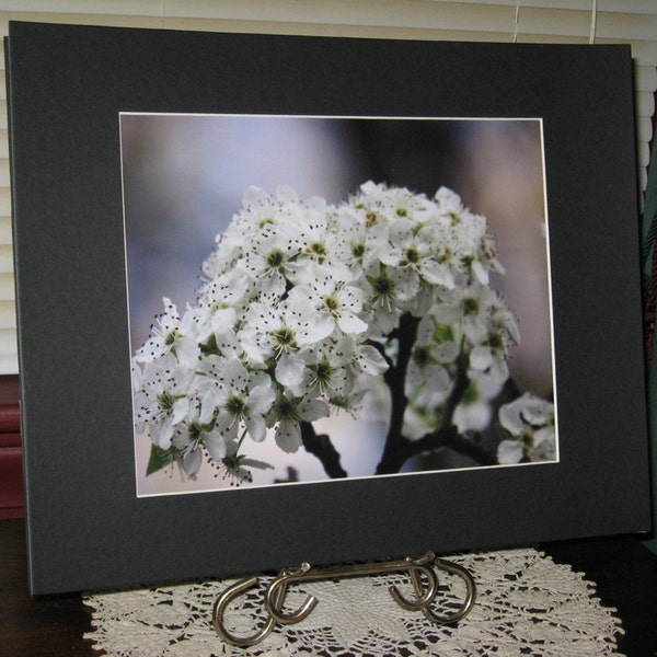 Spring Blooming Tree, Bradford Pear Tree Photo, Flower Photography, Nature Print, 8 x 10 Photo Print, OOAK, Matted Photograph, Glitter