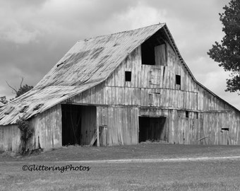 Barn Photography, Rural Photography, Farmland Photograph, Hall Indiana, Morgan County, Americana, Black White Photo, 8 x 10 Print, Free Ship