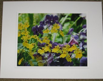 Yellow Orchid photo, Purple Orchid photo, Phipps Conservatory, Pittsburgh PA, Flower Photography, Nature Photography, 8 x 10 Print, Matted