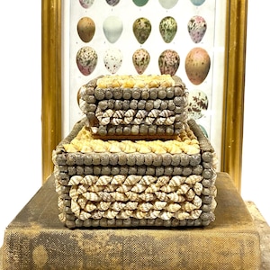 May include: A decorative box made of small seashells, with a matching lid, sits atop a vintage book. Behind it is a framed print featuring illustrations of various bird eggs in a gold frame. The box is a mix of beige, tan, and gray.