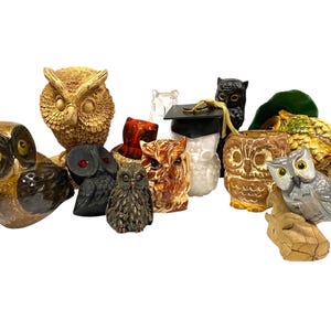 May include: A collection of owl figurines in various sizes, colors, and materials. The owls range from carved wood to ceramic, with details like textured feathers and painted eyes. Some owls have graduation caps.