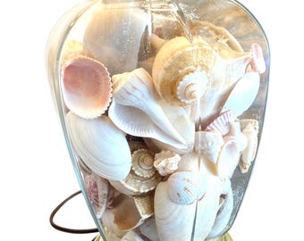 Clear Glass 80's Seashell Filled Table Lamp, Vintage Ginger Jar